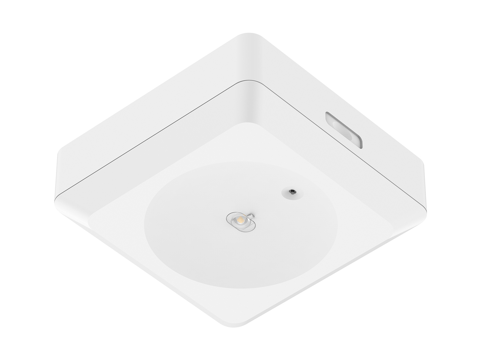 EPE-EM4 Surface Mounting Emergency DownLight